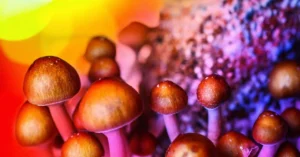 Benefits and Potential Uses of Magic Mushrooms