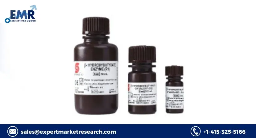 B-Hydroxybutyrate (Ketone Body) Assay Kits Market