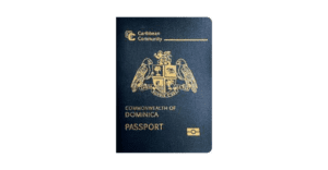 A Comprehensive Guide to Dominican Republic Visa for Indian Citizens